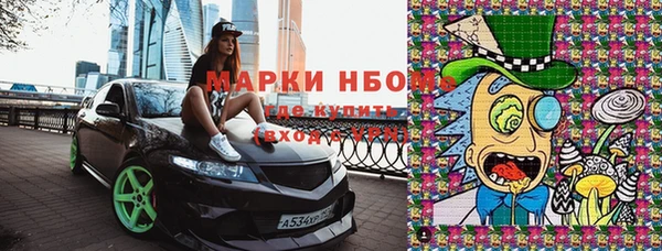 твердый Богородицк