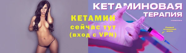 дмт Богданович