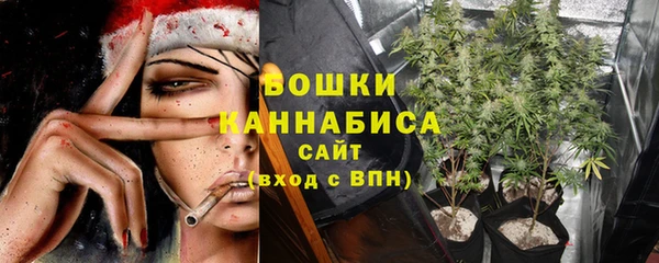дмт Богданович