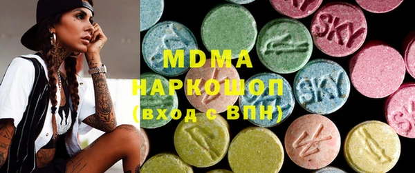 дмт Богданович