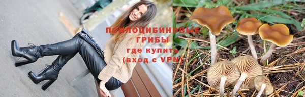 дмт Богданович